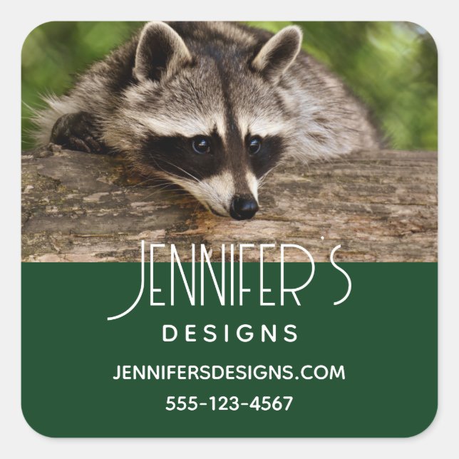 Cute Racoon Resting on a Log Business Square Sticker (Front)