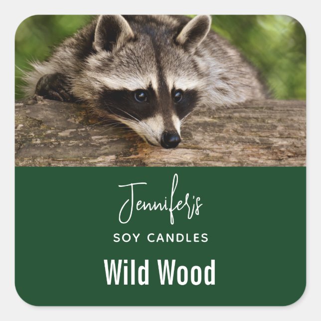 Cute Racoon Resting on a Log Candle Business Square Sticker (Front)