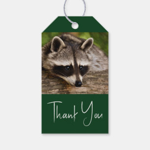 Cute Racoon Resting on a Log Gift Tags