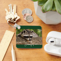 Cute Racoon Resting on a Log
