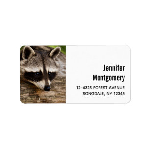 Cute Racoon Resting on a Log Label