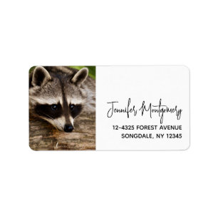 Cute Racoon Resting on a Log  Label