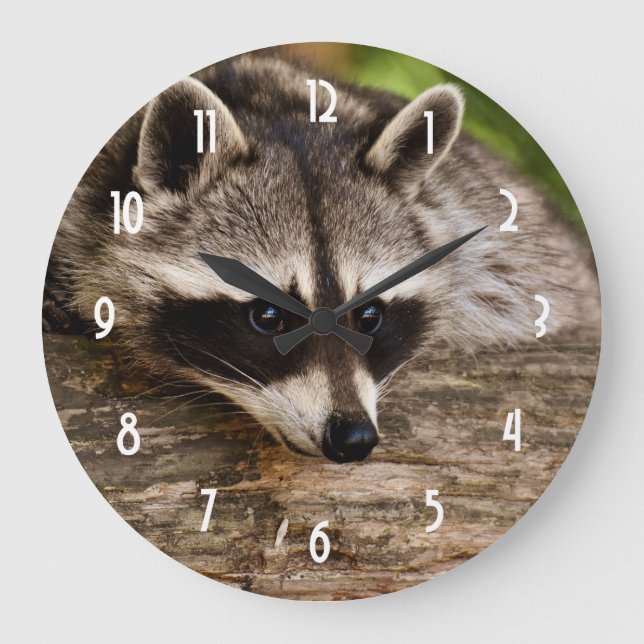 Cute Racoon Resting on a Log Large Clock (Front)