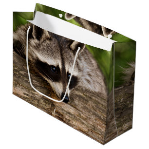 Cute Racoon Resting on a Log Large Gift Bag