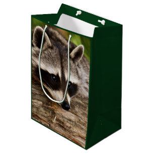 Cute Racoon Resting on a Log Medium Gift Bag