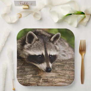 Cute Racoon Resting on a Log Paper Plate