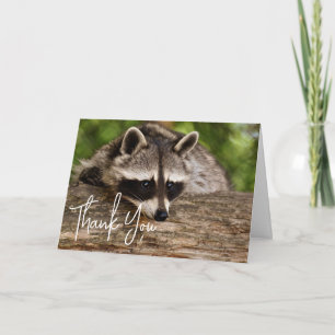 Cute Racoon Resting on a Log Thank You Card