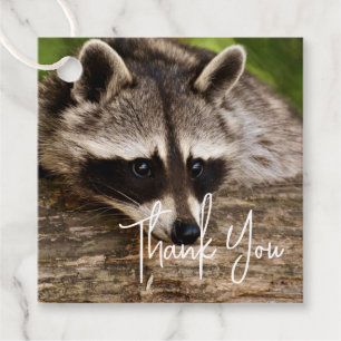Cute Racoon Resting on a Log Thank You Favour Tags