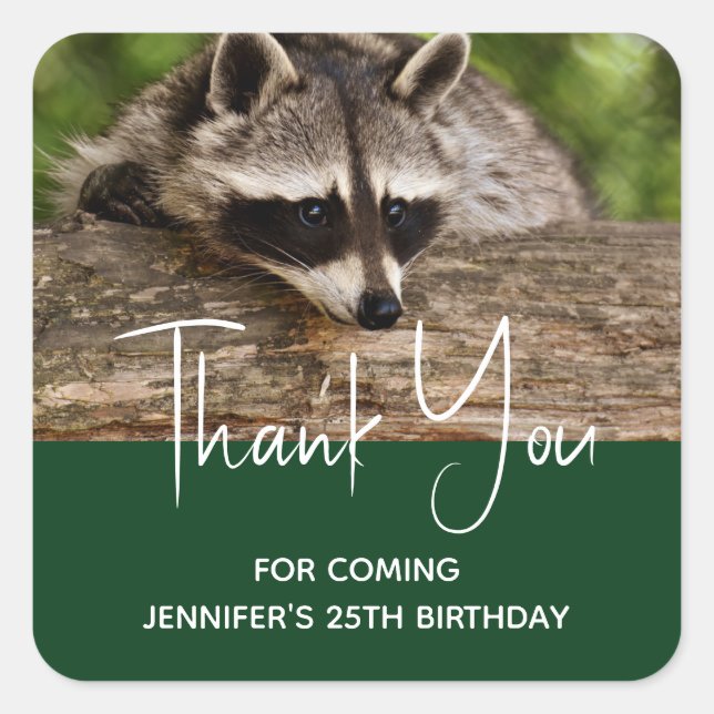 Cute Racoon Resting on a Log Thank You Square Sticker (Front)