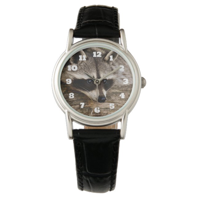Cute Racoon Resting on a Log Watch (Front)