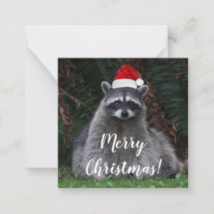 Cute Racoon Wearing Red Santa Hat Card