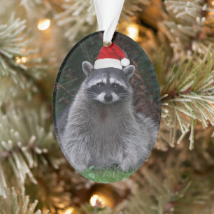 Cute Racoon Wearing Red Santa Hat Holiday Ornament