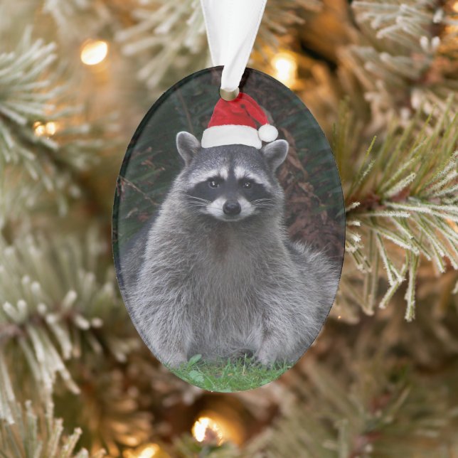 Cute Racoon Wearing Red Santa Hat Holiday Ornament (Tree)