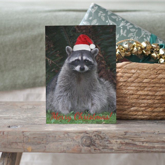 Cute Racoon Wearing Red Santa Hat Holiday Postcard (In Situ)