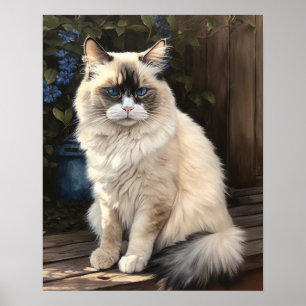 Cute Ragdoll Cat Art Print Poster