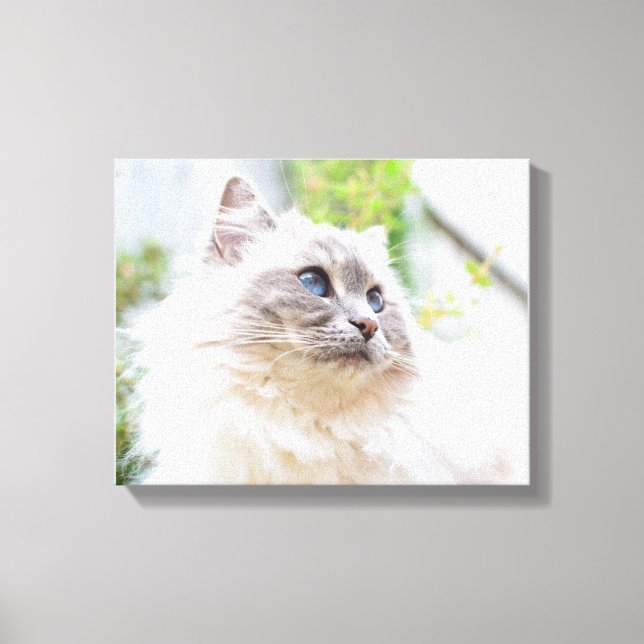 Cute Ragdoll Cat Canvas (Front)