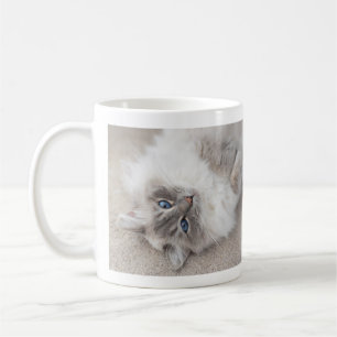 Cute Ragdoll Cat Mug