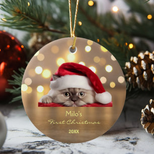 Cute Ragdoll Cat Santa Hat Paw Gold Personalized  Ceramic Tree Decoration