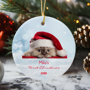 Cute Ragdoll Cat Santa Hat Paw Snow Personalized  Ceramic Tree Decoration
