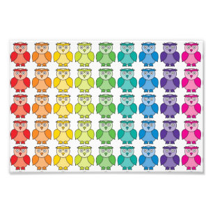 Cute Rainbow Owl Pattern. Photo Print