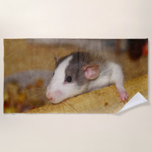 Cute Rat Beach Towel