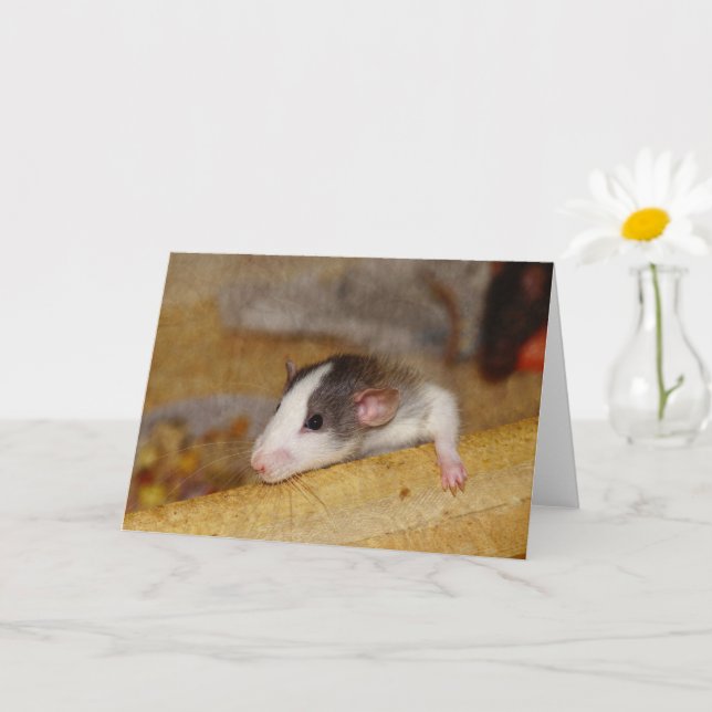 Cute Rat Card (Small Plant)