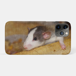 Cute Rat iPhone 11 Pro Case