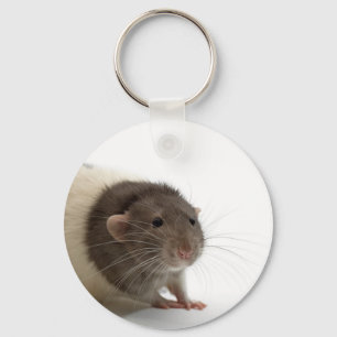 Cute Rat Close-Up Key Ring