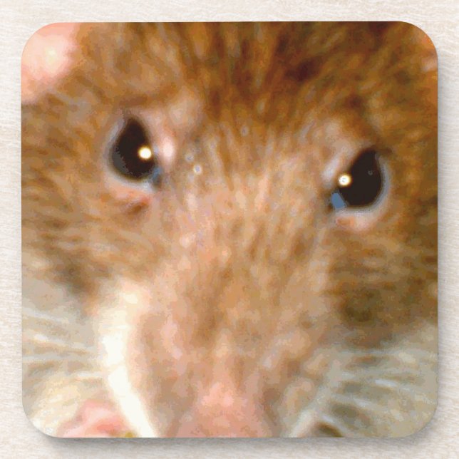 Cute Rat Face Cork Coaster (Front)