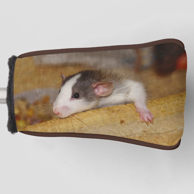 Cute Rat Golf Head Cover (Front)