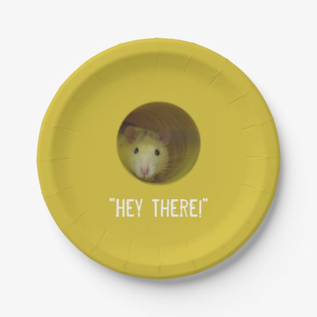 Cute Rat in Hole Funny Animal Paper Plate (Front)