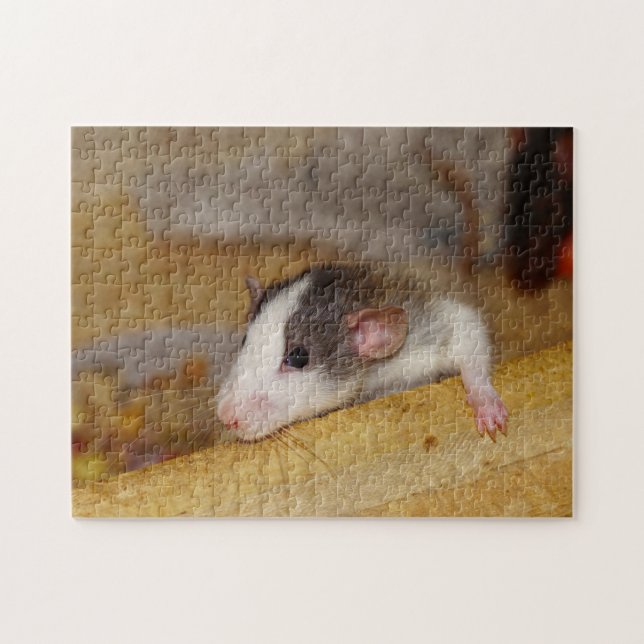 Cute Rat Jigsaw Puzzle (Horizontal)