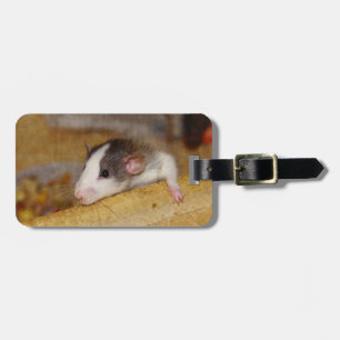 Cute Rat Luggage Tag