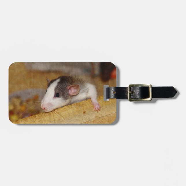 Cute Rat Luggage Tag (Front Horizontal)