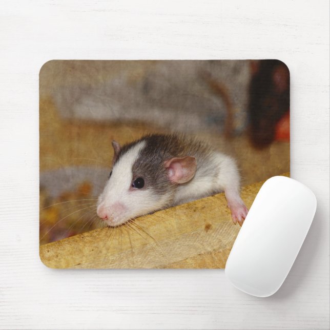Cute Rat Mouse Mat (With Mouse)