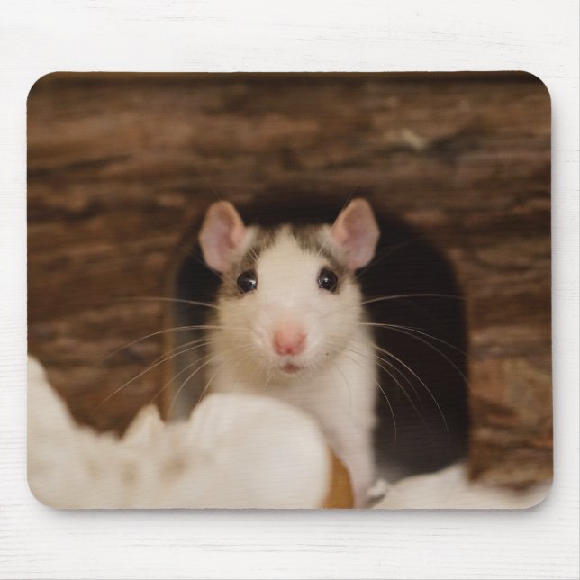 Cute Rat Mouse Mat (Front)
