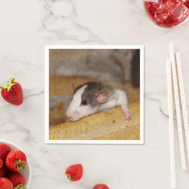 Cute Rat Napkin (Insitu)