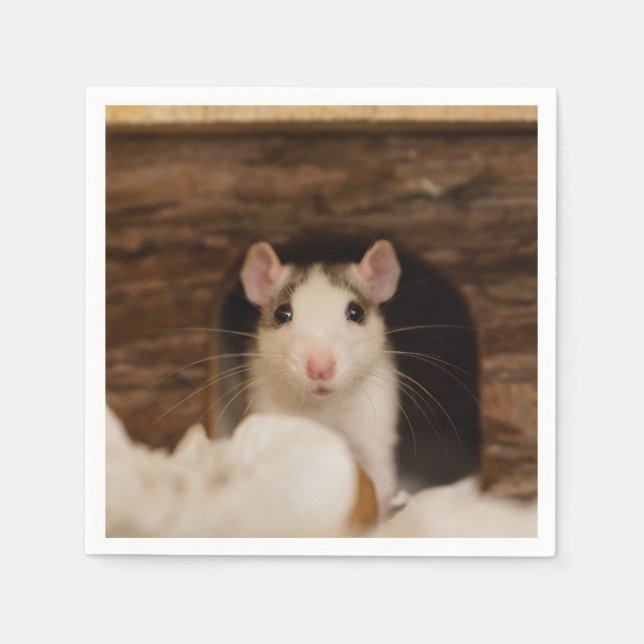 Cute Rat Napkin (Front)