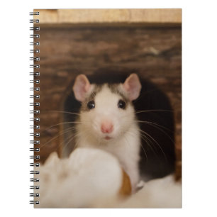 Cute Rat Notebook