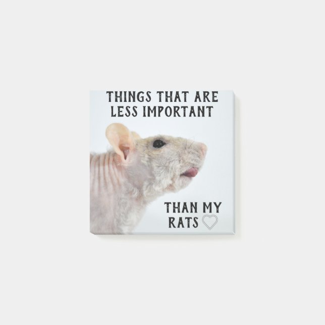 Cute Rat Post-it Notes (Front)