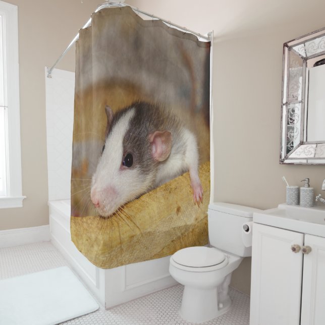 Cute Rat Shower Curtain (In Situ)