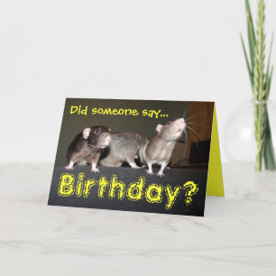 cute rats birthday card