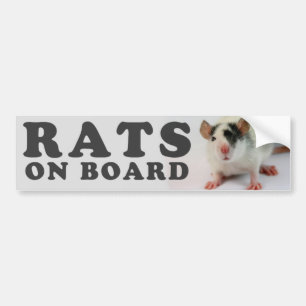 (Cute) Rats on board Bumper Sticker