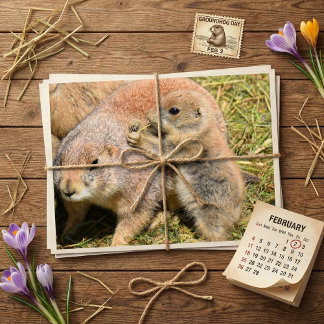 Cute Realistic Groundhog Family Photo Postcard