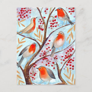 Cute red & blue Robin birds in tree with berries Holiday Postcard