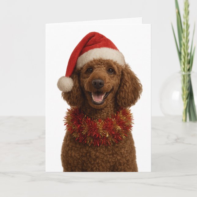 Cute red / brown Poodle Christmas card (Front)