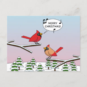 Cute Red Cardinal Singing Merry Christmas Holiday Postcard