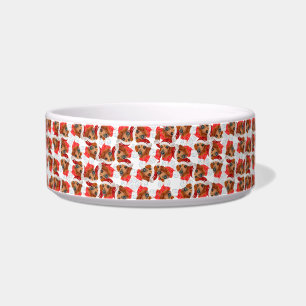 Cute Red Dachshund Name Christmas Pattern Bowl