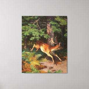 Cute Red Deer In The Forest Canvas Print