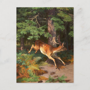 Cute Red Deer In The Forest Postcard